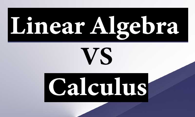 what-are-prominent-differences-between-linear-algebra-and-calculus