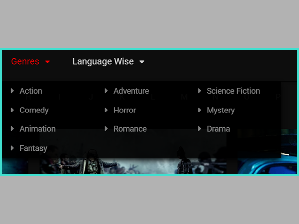 Multiple Genres on the Website