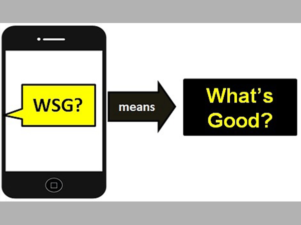 WSG Meaning
