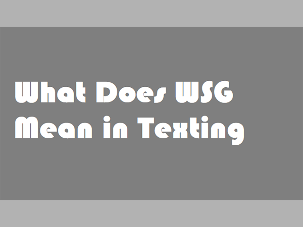 WSG means in the Text message