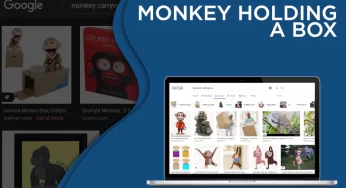 Google’s Search on “Monkey Holding a Box” is Not Appreciable. Hope You Agree.