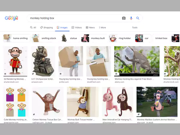 Search results in “ a monkey holding a box”