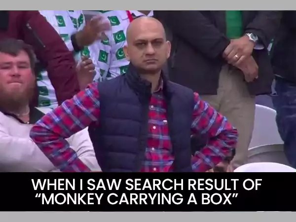 Meme on Monkey carrying a box